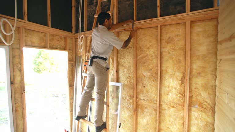 Best Attic Insulation Installation  in Lonville, GA